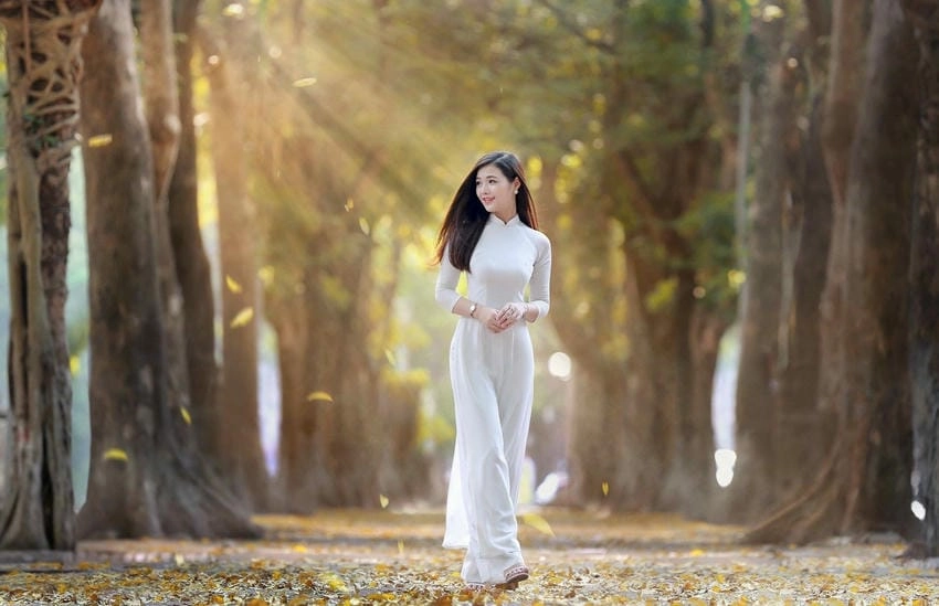 Background áo dài đơn giản nhưng tinh tế thanh lịch