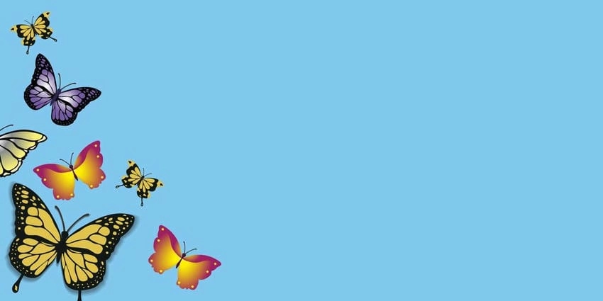 Background bướm bay lãng mạn cho khung hình bay bổng