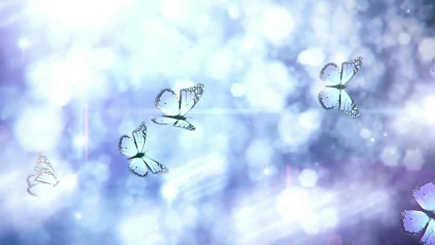 Background bướm bay phông nền phù hợp mọi bố cục