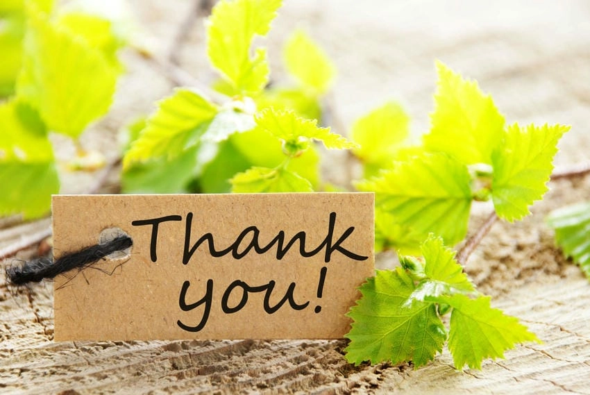 Background cảm ơn đơn giản nhưng đầy tinh tế