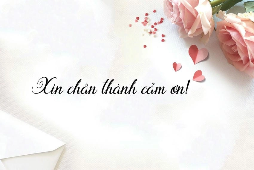 Background cảm ơn thanh lịch hài hòa trong bố cục