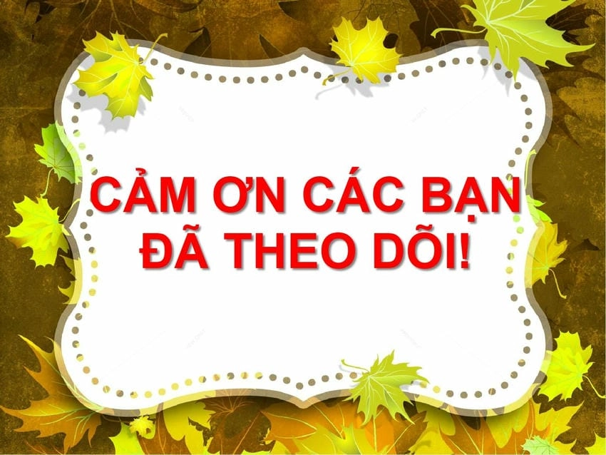 Background cảm ơn đa năng dùng được nhiều mục đích