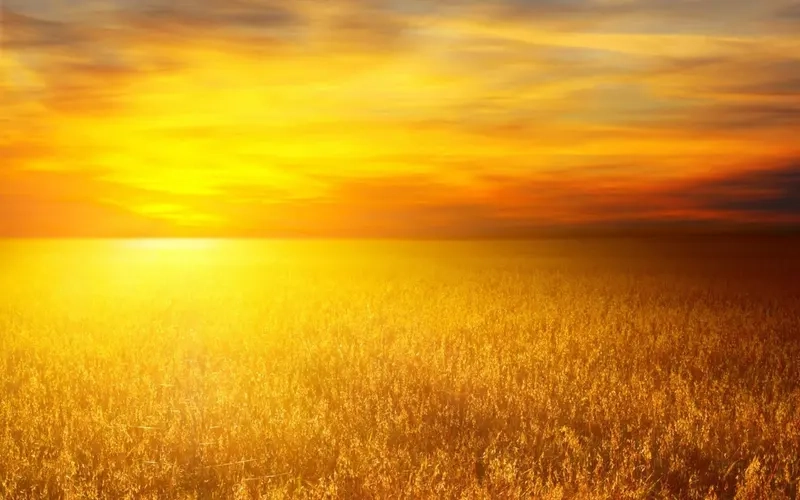 Bầu trời trong xanh nổi bật cùng background cánh đồng trời xanh