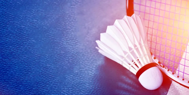 Cổ vũ đội tuyển với background cầu lông đội tuyển