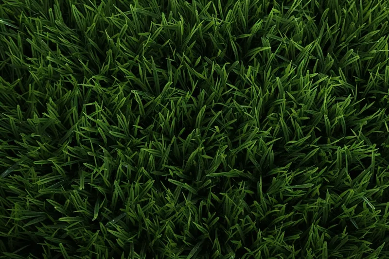 Hình ảnh sắc nét background cây cỏ 4K chân thực