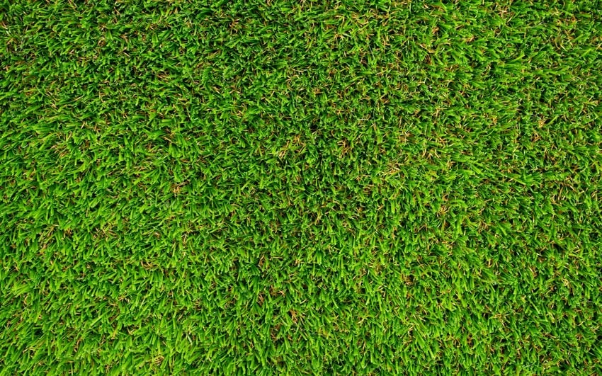 Background cỏ nhân tạo thiết kế hiện đại và sáng tạo