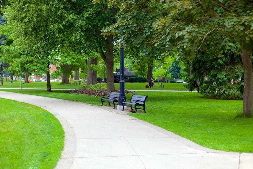 Background công viên phong cảnh rộng rãi và thơ mộng