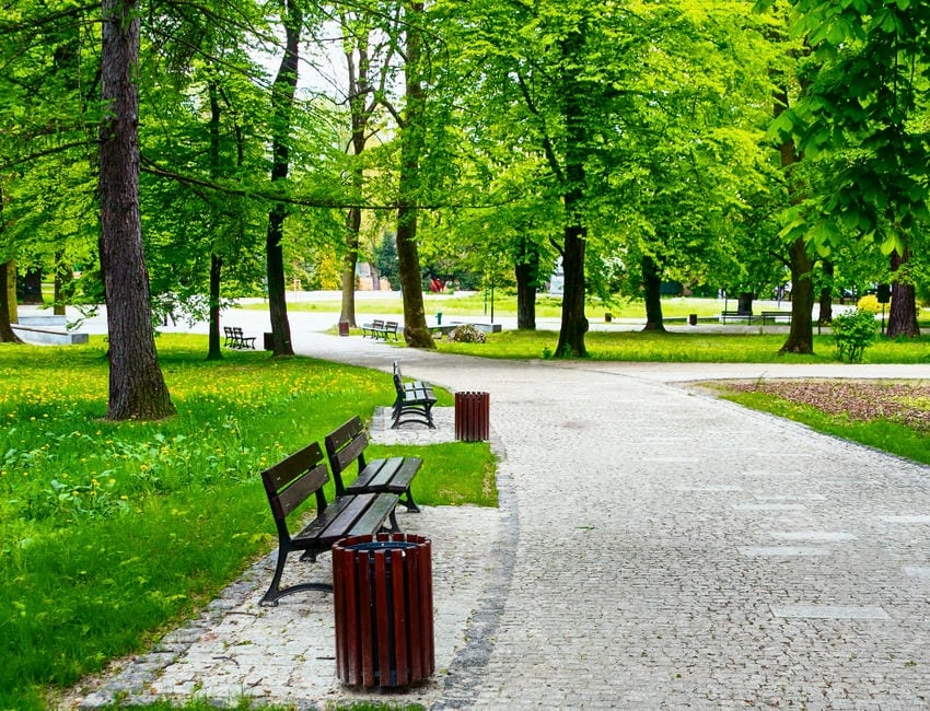 Background công viên ấn tượng nổi bật giữa thiên nhiên