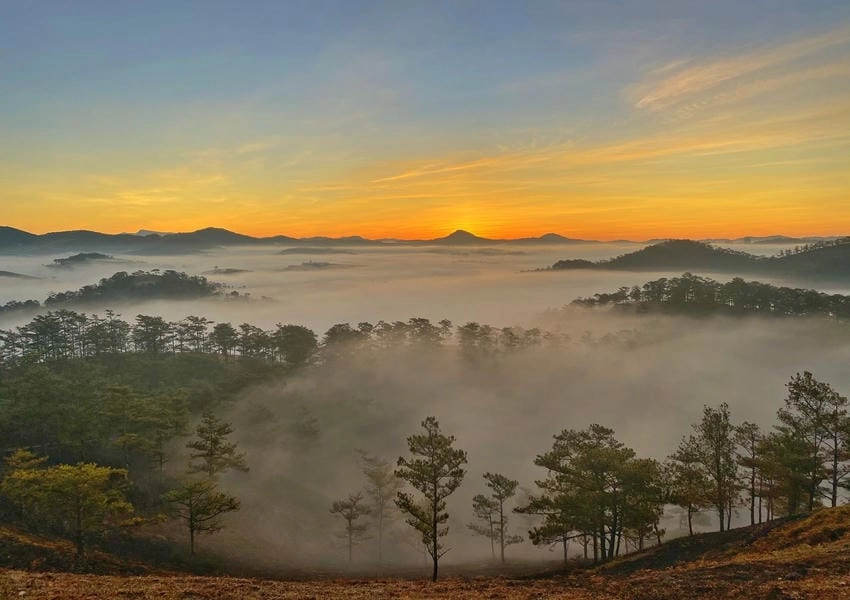 Background đà lạt mẫu tinh tế cho nhiều ý tưởng