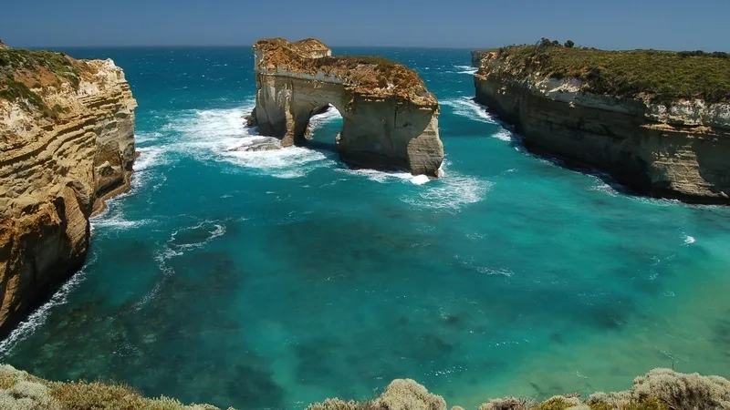 Trang trí độc đáo và tinh xảo bằng background đại dương họa tiết