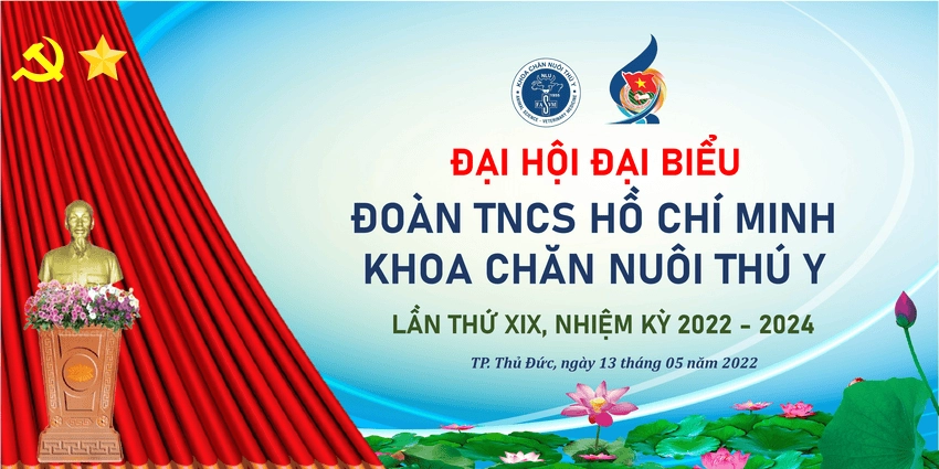 Background đại hội đoàn sân khấu nổi bật thu hút ánh nhìn