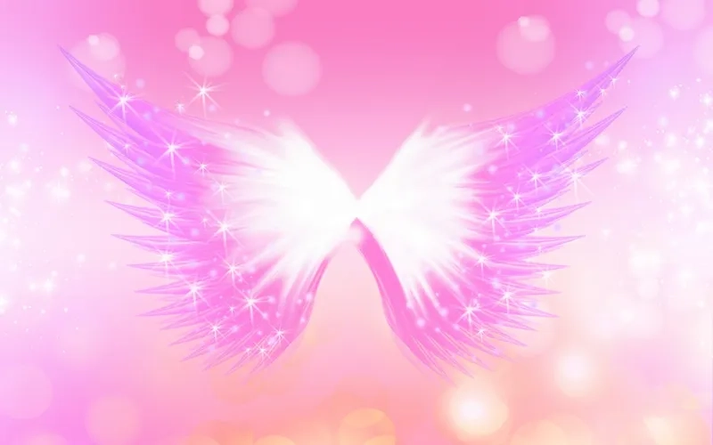 Tối giản mà tinh tế với background đôi cánh thiên thần đơn giản dễ dùng