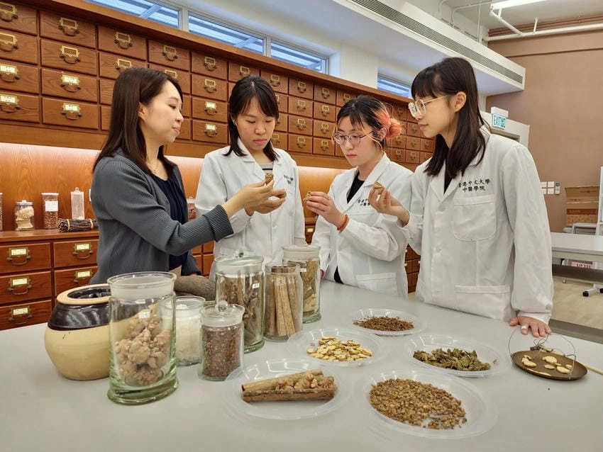 Background đông y sáng tạo thể hiện nét riêng biệt