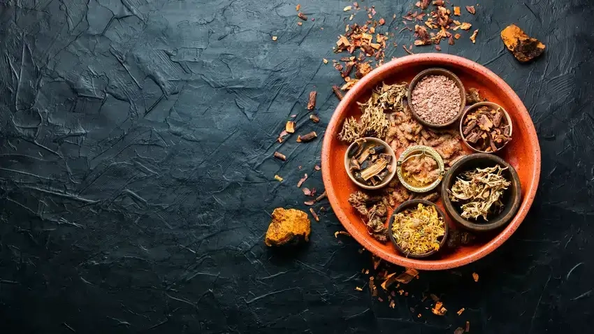 Background dược liệu vector sắc nét dễ chỉnh sửa