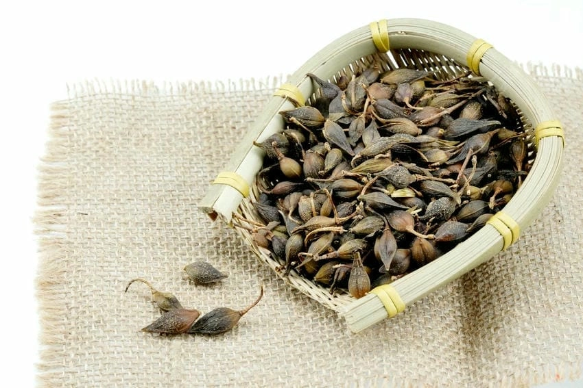 Background dược liệu khô tạo chất mộc mạc giản dị