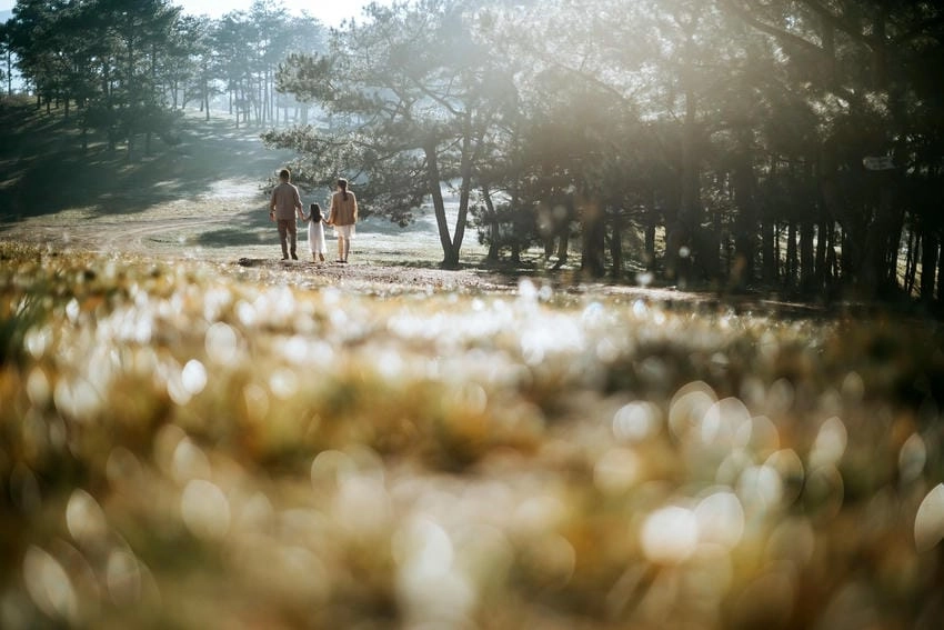 Background gia đình vector dễ chỉnh sửa theo ý tưởng