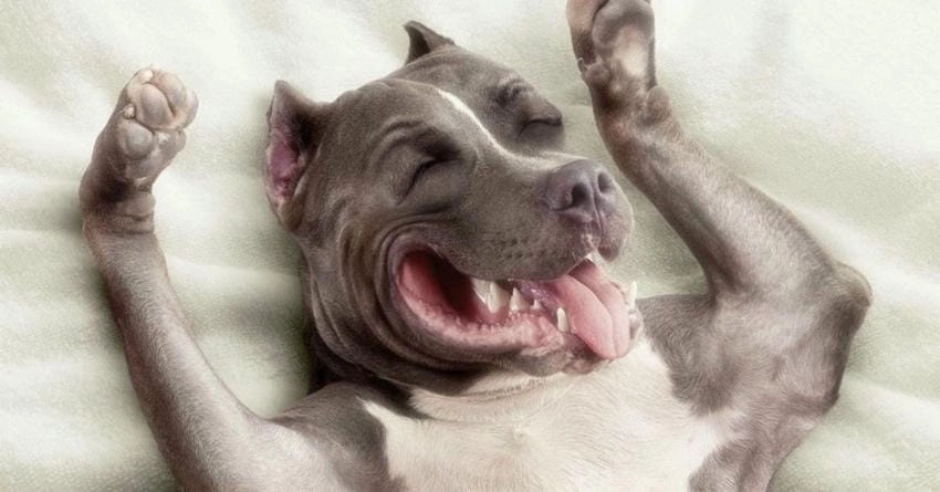 Background hài hước sáng tạo bùng nổ ý tưởng mới