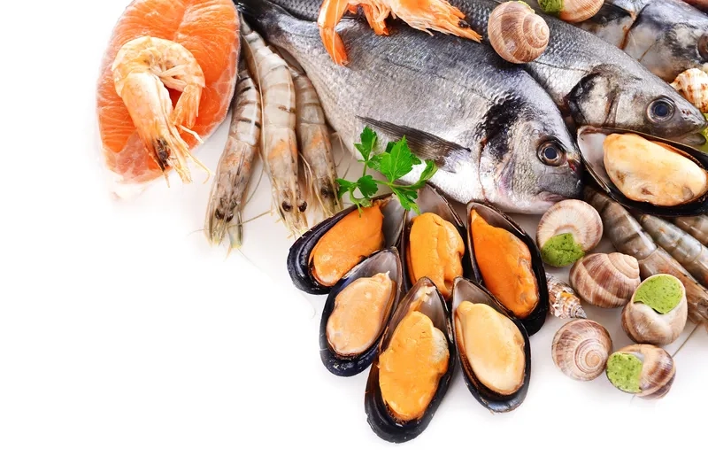 Tải ngay background hải sản vector chuẩn thiết kế sang trọng