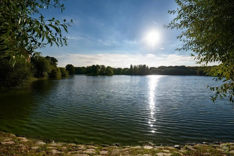 Background hồ nước rừng cây xanh mướt mang hơi thở hoang dã