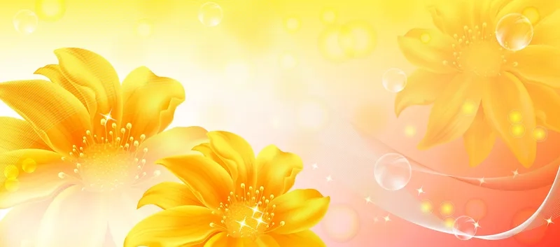 Khám phá background hoa 20/10 đẹp rực rỡ tôn vinh phái đẹp Việt