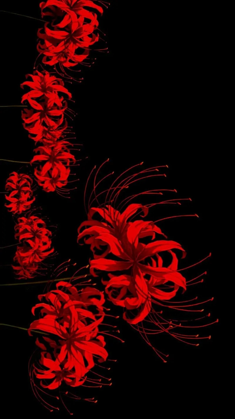 Background hoa bỉ ngạn đẹp hoàn hảo cho mọi thiết bị