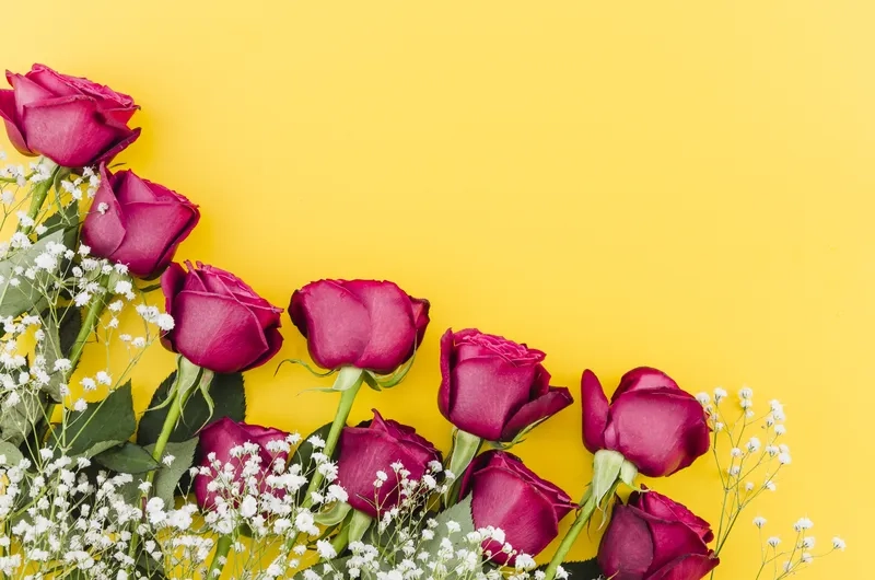 Kỷ niệm ngày quan trọng cùng background hoa chúc mừng tốt nghiệp