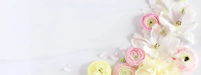 Khởi đầu học kỳ mới tươi sáng với background hoa chúc mừng năm học mới