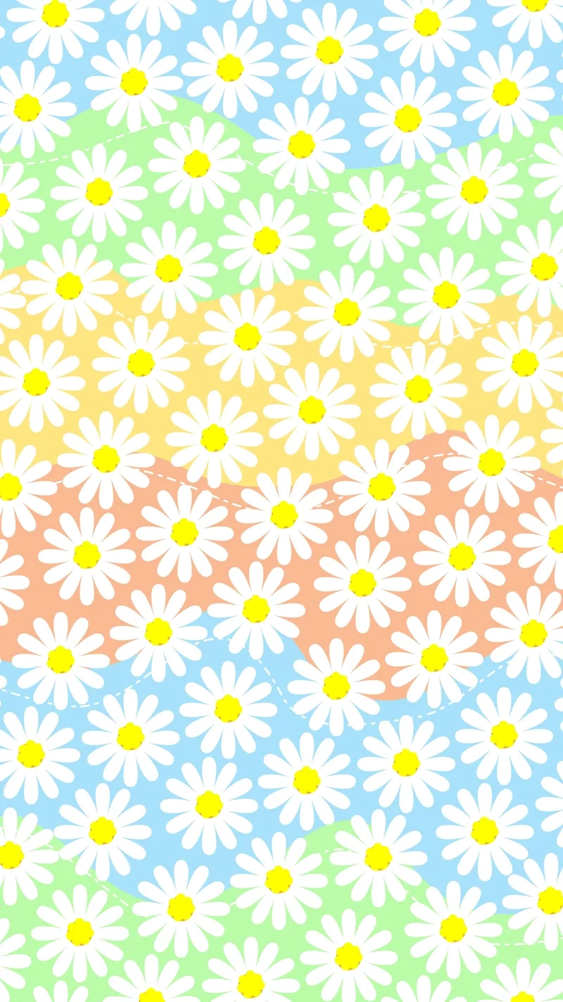 Background hoa cúc họa mi gợi nhớ hương sắc mùa thu Hà Nội