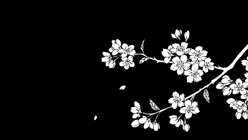 Thể hiện gu thẩm mỹ qua background hoa đen trắng nghệ thuật