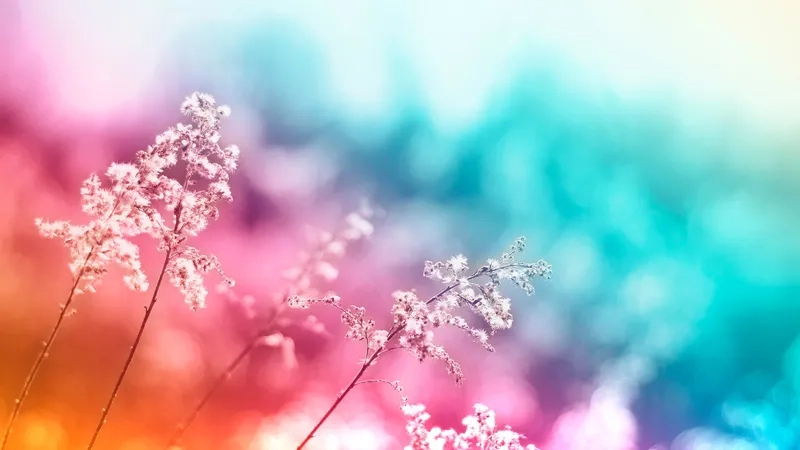 Đơn giản nhưng tinh tế với background hoa đẹp phong cách minimal