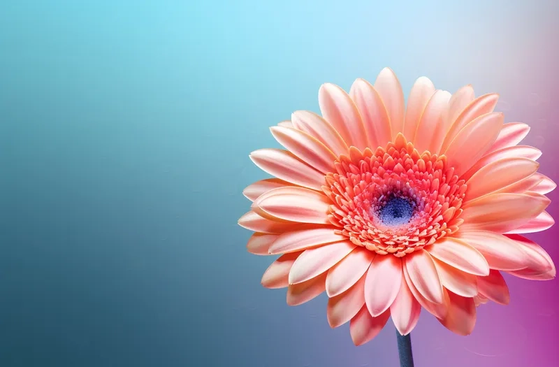 Background hoa đồng tiền hoa gerbera rực rỡ mang đến năng lượng tích cực