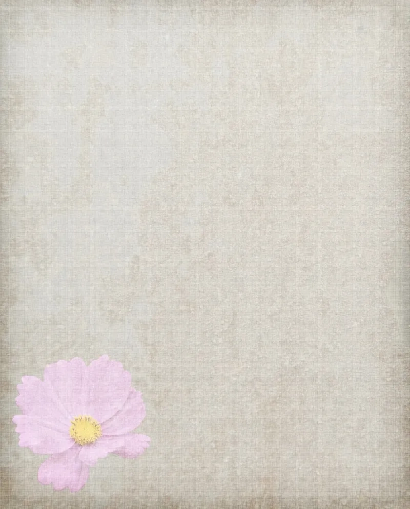 Background hoa giấy chụp hình giúp khung ảnh thêm phần lung linh rực rỡ