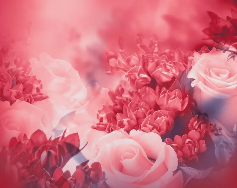 Background hoa hồng thiên nhiên tươi sáng mang hơi thở trong lành