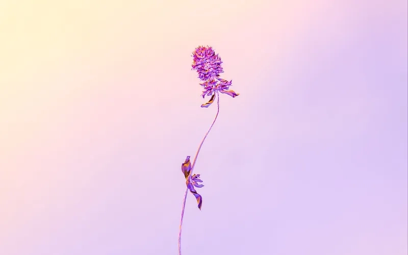 Thumbnail bắt mắt với background hoa minimal thumbnail