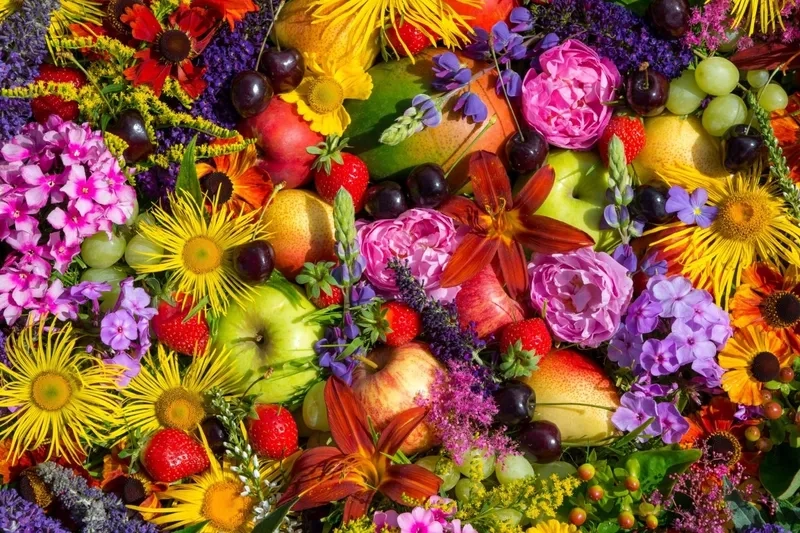 Background hoa quả sáng tạo, độc đáo cho thiết kế nổi bật