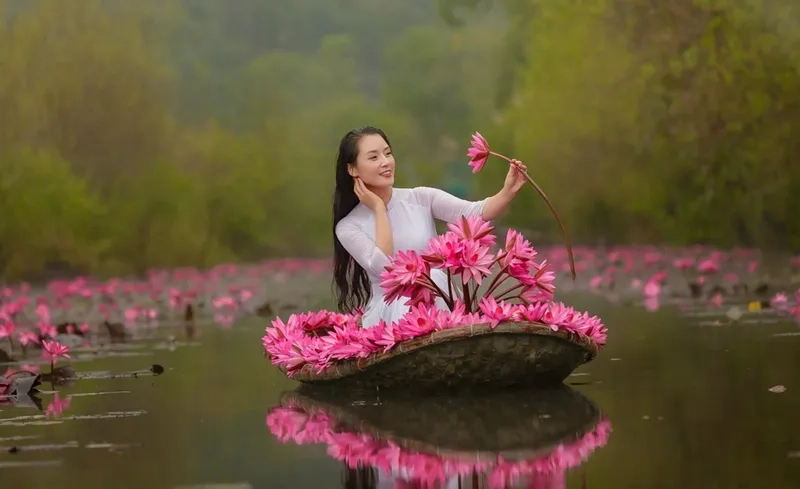 Background hoa súng nghệ thuật, truyền cảm hứng sáng tạo