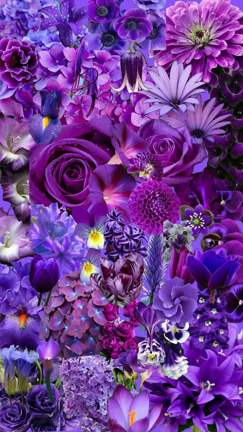 Background hoa tím sang trọng nổi bật cho mọi thiết kế