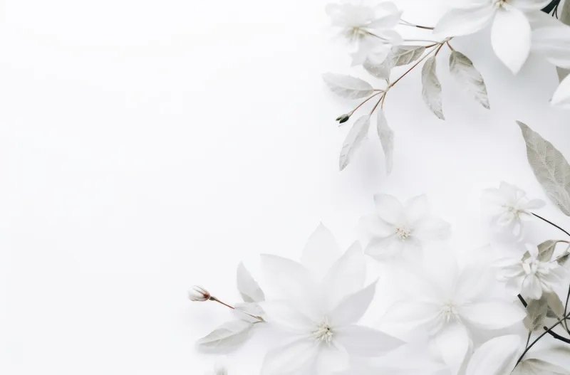 Tinh tế nhẹ nhàng với background hoa trắng đơn giản