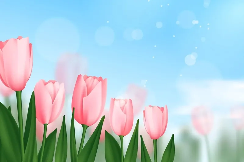 Background hoa tulip tông pastel nhẹ nhàng và đầy lãng mạn