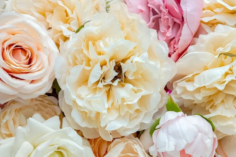 Đẳng cấp và sang trọng vượt trội với background hoa tươi cao cấp