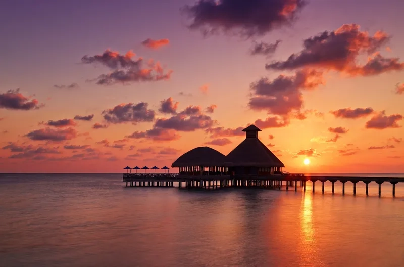 Hòa mình cùng background hoàng hôn thiên nhiên rực rỡ và trong lành