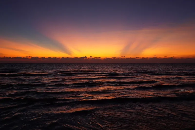 Background hoàng hôn cây cối mang sắc nắng len qua tán lá xanh