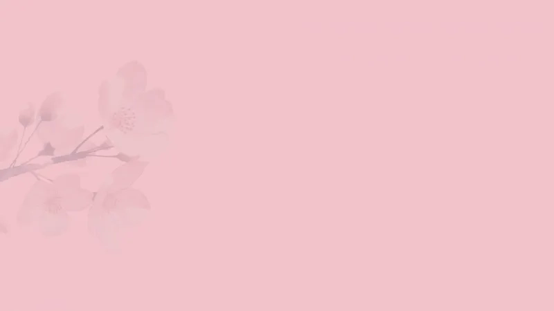 Background hồng nghệ thuật thể hiện cá tính và gu thẩm mỹ riêng biệt