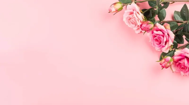 Background hồng facebook nổi bật giúp bài đăng thêm thu hút và ấn tượng