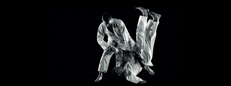 Bộ sưu tập background judo minimal tinh gọn và hiện đại