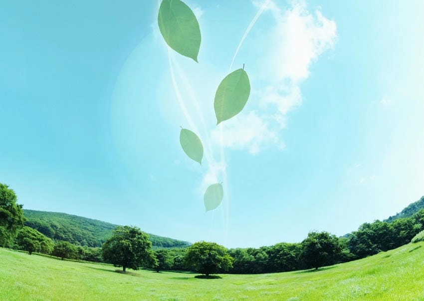 Background môi trường 4k chi tiết sống động