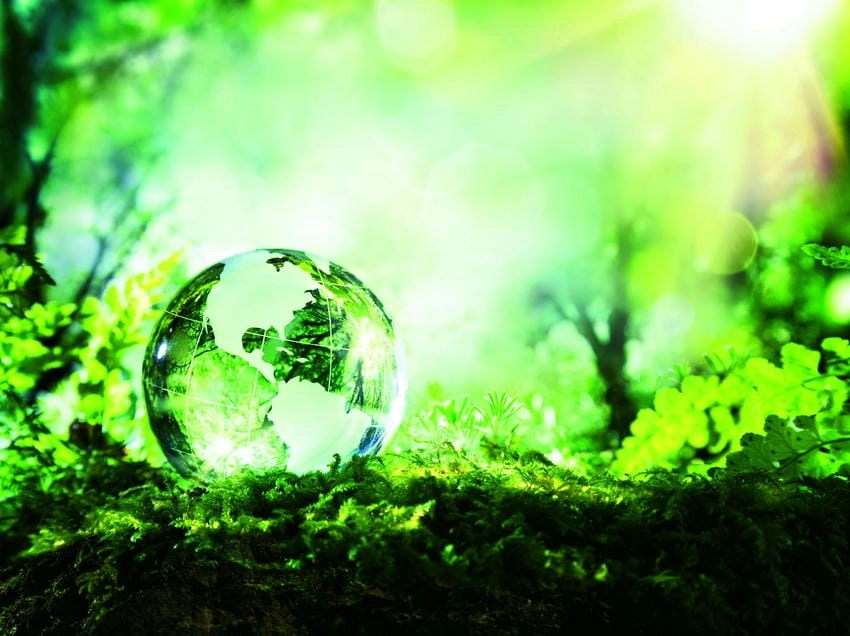 Background môi trường xanh tươi mang năng lượng tích cực