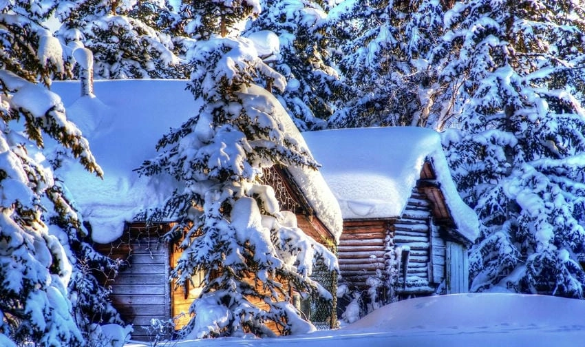 Background mùa đông chất lượng cao tinh tế