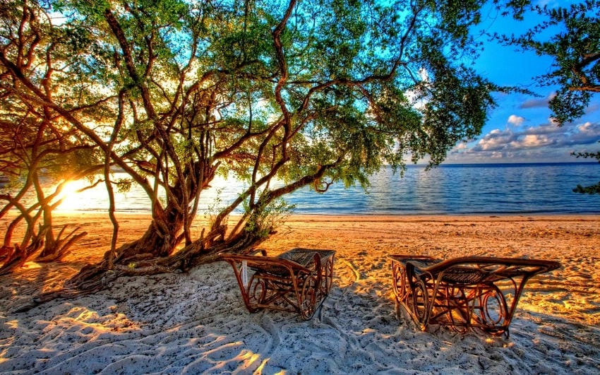 Background mùa hè phông nền đẹp cho mọi concept