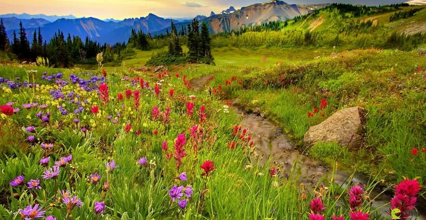 Background mùa hè hiện đại hợp xu hướng thiết kế